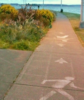 sidewalk.jpg